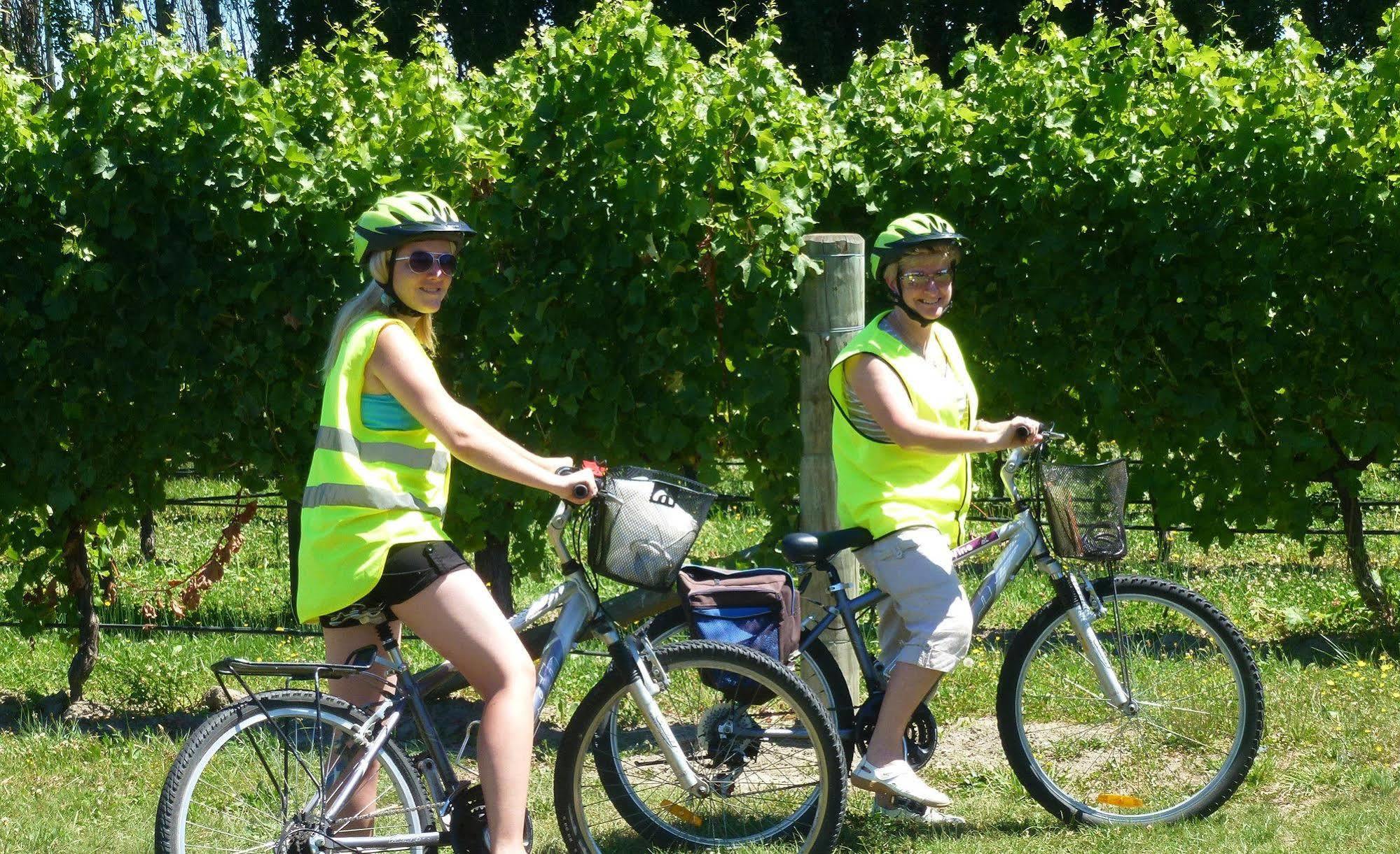 Olde Mill House B&B & Bike2Wine Cycle Hire Renwick Exterior foto